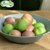 仿真水果模型 仿真蔬菜 假水果 模擬李子紅心李模型三華李道具假蔬菜擺件裝潢玩具 飯店裝飾 攝影道具