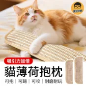 貓薄荷抱枕 貓薄荷玩具 貓咪抱枕 猫薄荷枕頭 貓玩具 貓薄荷枕
