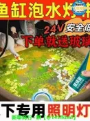 【可開統編】古法魚缸魚池專用水下led燈帶低壓24V實心矽膠燈條自粘戶外防水