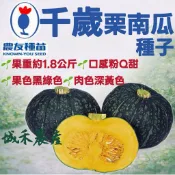 城禾農產🍃 農友千歲南瓜種子 12粒 千歲南瓜種子 千歲栗子南瓜種子 栗子南瓜種子 農友栗子南瓜種子 南瓜種子 金瓜種子