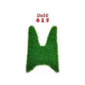 ✨ 機車草皮 ✨ 草皮踏墊 機車 腳踏墊 dio50 dio 迪奧 三陽