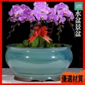 宜興紫砂花盆 蘭花盆 陶瓷大花盆 蝴蝶蘭專用 多肉植物盆栽 釉面透氣 盆器 室內 陽台 園藝 景觀 盆景 陶盆 花器