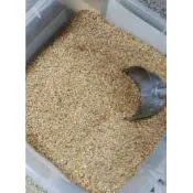 亞麻仁籽粉。低溫焙炒!鮮磨無糖！ 亞麻仁 未搾油 另 杏仁粉 純黑芝麻粉 現磨 亞麻仁粉