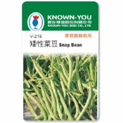 (店+)【天橙種子】矮性菜豆種子 V-215 矮性四季豆 約20粒 蔬果種子 豆類 農友種苗 彩色原包裝