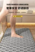 【松果購物】【挪威森林】加厚記憶棉雲朵法蘭絨吸水地墊40x60cm浴室地墊(浴室吸水防滑墊 浴室止滑墊)