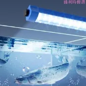 led燈管魚缸專用防水220飯店魚池海鮮藍白光水產水族養魚照明燈條