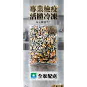 【檢疫完成】頂級朱文錦（600g/包）｜支支分明不黏糊、好餵食！活體急速冷凍/專業包裝 觀賞魚飼料