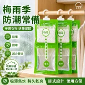 可掛除濕袋100g✨️懸掛式除濕袋 吸濕幹燥劑 防霉吸味 防霉防潮 乾燥劑 除濕袋 吸濕袋 梅雨 宿舍 家用 臥室 衣櫃