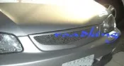 大雲林賣場- 福特 FORD TIERRA LIFE ACTIVA 323 中空封網水箱罩