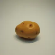 【東東玩具城】《 食物模型 》馬鈴薯 蔬菜模型 - B2005