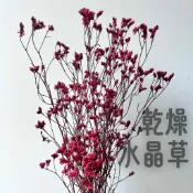 永生水晶草 綜合乾燥花 滿天星 星辰花 插花花材 水晶草 麥穗 永生花 不凋花 卡斯比亞  裝飾花 居家裝飾 花束 花藝