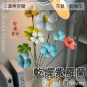 紫羅蘭 綜合乾燥花 永生花 不凋花 卡斯比亞 星辰花 插花花材 裝飾花 居家裝飾【盞樂空間】