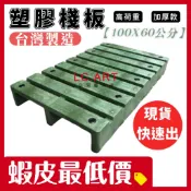 塑膠棧板100*60公分 台灣製 現貨 快速出 墊高物品  防淹水  墊高棧板  寵物底板 門口防止停車 電子發票