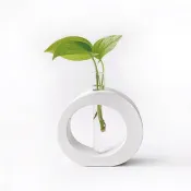 純灰系列 | 萊姆黃金葛 室內水培植栽 圓圈水泥水耕花架