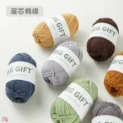 Biggift 灌心棉線 3mm 棉線 灌芯棉 粗毛線 diy 編織包包帽子拖鞋玩偶 灌芯棉線 布條線 編織線