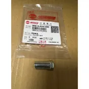三陽 原廠 95015-AVH-000 活力 新迪爵 CBS版 前煞車線 調整螺帽 螺帽
