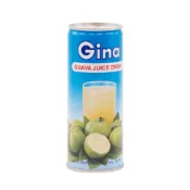 菲律賓 GINA 真雅 果汁 240ml / 250ml