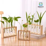 創意ins風水培花瓶 透明玻璃試管桌面擺件木架 插花墻壁掛裝飾 居家桌面牆面適用 實木穩固支架【歐戀芭】