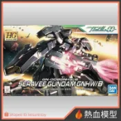 [熱血模型] BANDAI 萬代 鋼彈模型 1/144 HGOO 051 熾天使鋼彈 GNHW/B 最終決戰式樣