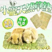 [現貨 快速出貨] 草墊 兔子墊 兔子草墊 兔子保暖墊  兔子磨牙 兔子玩具 天竺鼠 天然牧草