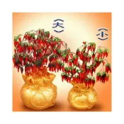 (店+)168開運坊 招財系列【業績長紅 琉璃紅辣椒聚寶樹*1】開光/擇日