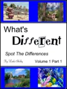 Kobo What's Different Adult Volume 1 Part 1