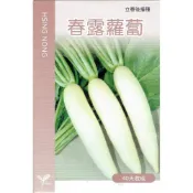 (店+)【天橙種子】春露蘿蔔種子 白蘿蔔 約3公克 2~10月播種 日本進口 根莖類種子 興農種苗 家庭園藝 彩色原包裝
