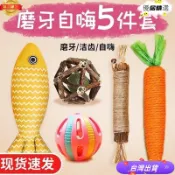 ✨台灣出貨✨免運✨貓玩具逗貓棒貓薄荷木天蓼小貓自嗨解悶神器磨牙狗狗貓咪用品 R3WL
