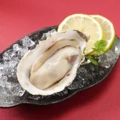 【段泰國蝦】日本生食級帶殼生蠔L 500g(嚴選L規格超大帶殼生蠔)