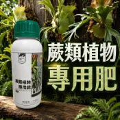 【大欣植栽行】出貨就是快  蕨類植物專用肥（500ml) 森林系綠植  蕨類植物 鹿角蕨 綠葉植物