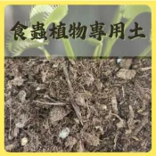 【欣盛園藝資材行】食蟲植物專用土 無肥 捕蠅草 食蟲植物 捕蟲堇 毛氈苔 無肥泥炭土