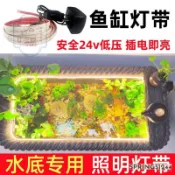 免運下殺 水底燈帶 24V 低壓燈條 led 實心 硅膠 戶外 魚池 泡水燈 古法魚缸 防水燈帶