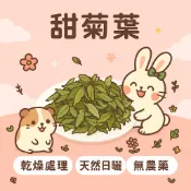 ※兔老爺※現貨快速出貨甜菊葉·保健花草 兔子草 兔子花草 天竺鼠花草 龍花草