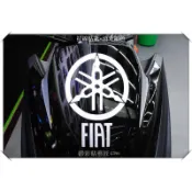 【惡鯊】SMAX S MAX 155 (二代)ABS/A010小盾拉線 車膜 彩繪 彩貼 貼紙