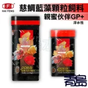 【青島水族】海豐 HAI FENG 親蜜伙伴GP+ 慈鯛藍藻顆粒飼料 小粒/中粒 血鸚鵡 花羅漢 鮮豔 適口性極佳 雜食