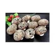 (店+)【萬象極品】香菇流沙包(芝麻口味)10入/約450gx1包 83133321