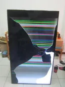 國際TH-65FX600W
