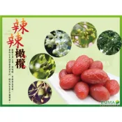 (店+)辣辣橄欖 古早味蜜餞 純素食 易買健康