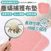 除塵螨片 防蟎貼片 除螨片 消除塵螨 誘補貼除蟎貼片 補蟎神器 塵蹣片 防蟎墊 防蹣貼 塵螨布墊 除螨片 除滿 除蟎蟲包