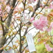 熱銷🔥日本風鈴 日式櫻花風鈴 創意玻璃櫻花風鈴 臥室掛件鈴鐺女 和風少女心掛飾門飾羽毛風鈴 清新可愛臥室庭院掛飾禮物