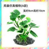 ★爬蟲新樂園★[台灣現貨]爬蟲仿真植物 爬蟲造景 爬箱佈置 水族造景 樹棲造景 爬蟲 守宮 蜥蜴 變色龍 蜘蛛 蠍子