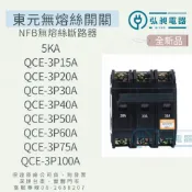 無熔絲斷路器 QCE-3P15A~3P100A 附發票 快速出貨 無熔絲開關 5KA NFB 東元電機