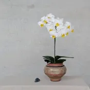 粗砂瑪奇朵  花器 花瓶 擺飾