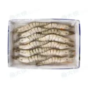 進口海草蝦 12P裝(12尾/實重約270g/盒)-1C4A【魚大俠】SP123