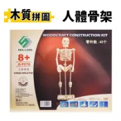 DIY木質拼圖 人體骨架 G-P076 /一個入 B2 四聯木製拼圖 3D立體拼圖 3D拼圖 木製模型 骨骼模型
