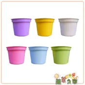 (店+)【蔬菜之家】3吋彩色荷蘭盆 馬卡龍色水盤1號 共7色彩栽培盆 盆水盤 多肉植物盆 水盤
