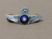 【老徽章 胸章 紀念章】空軍指揮級飛行胸章 軍徽章 (M621)  