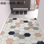 免運 可客製 防滑地墊 絲圈地墊 門口地墊 玄關地墊 進門地墊 刮泥地墊 腳踏墊玄關入戶門地墊  大門地墊 刮泥地墊