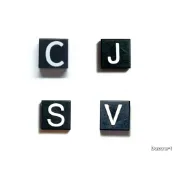 二手樂高 LEGO C J S V 字母 英文 印刷磚 3070bpb011 3070pb018 3070pb030