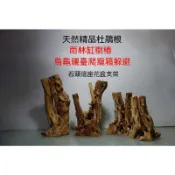 爬寵躲避 烏龜曬臺 沉木 爬寵箱 工藝品 花盆石頭底座 造景杜鵑根